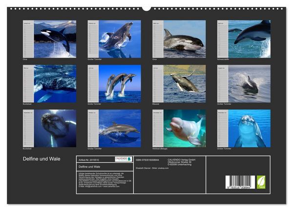 Produktbild: Delfine und Wale (hochwertiger Premium Wandkalender 2026 DIN A2 quer), Kunstdruck in Hochglanz