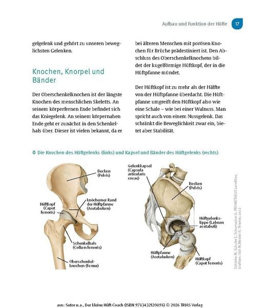Produktbild: Der kleine H&uuml;ft-Coach