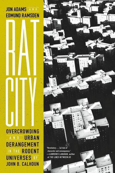 Produktbild: Rat City