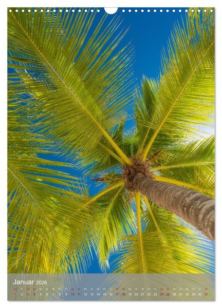 Produktbild: Karibischer Traum Isla Saona (Wandkalender 2026 DIN A3 hoch), CALVENDO Monatskalender