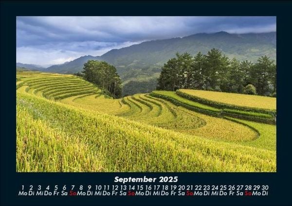 Produktbild: Blick in die Natur 2025 Fotokalender DIN A5