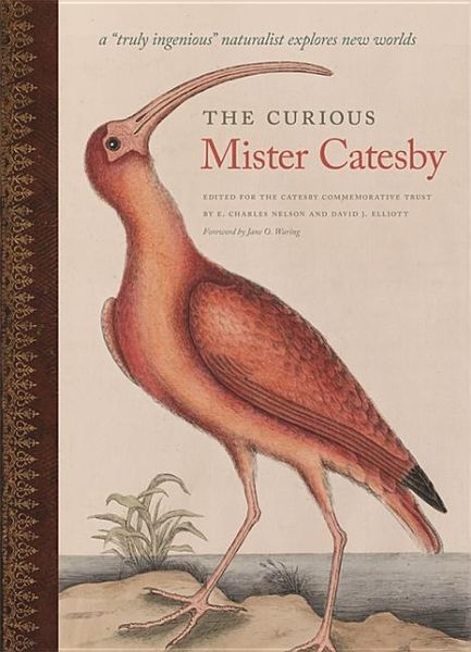 Produktbild: The Curious Mister Catesby