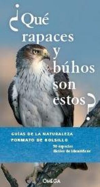 Produktbild: &iquest;Qu&eacute; rapaces y buhos son estos?