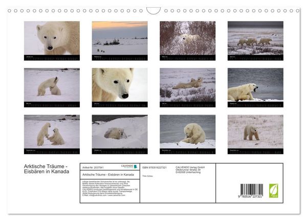 Produktbild: Arktische Tr&auml;ume - Eisb&auml;ren in Kanada (Wandkalender 2026 DIN A3 quer), CALVENDO Monatskalender
