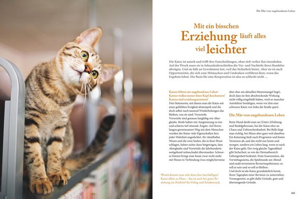 Produktbild: Katzensprache
