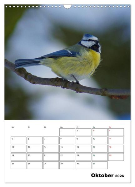 Produktbild: Heimische Singv&ouml;gel (Wandkalender 2026 DIN A3 hoch), CALVENDO Monatskalender