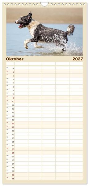Produktbild: Familienplaner 2027 - Freunde auf vier Pfoten am Strand mit 5 Spalten (Wandkalender, 21 x 45 cm) CALVENDO