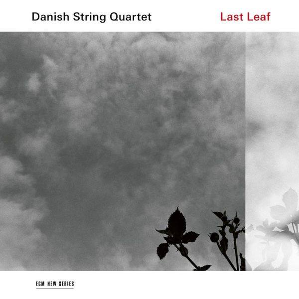 Produktbild: Last Leaf