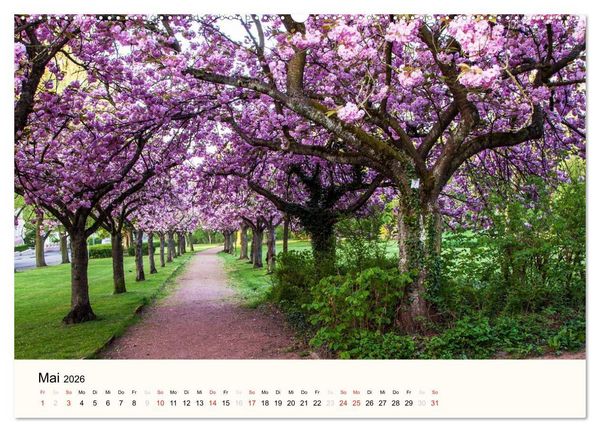 Produktbild: V&ouml;lklingen. Im Schatten des Weltkulturerbes (Wandkalender 2026 DIN A2 quer), CALVENDO Monatskalender