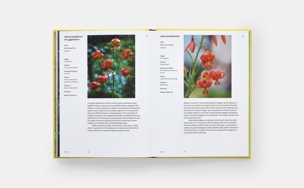Produktbild: A Year in Bloom
