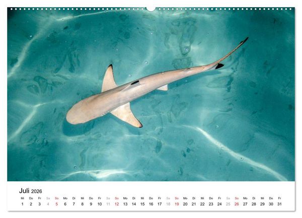 Produktbild: Malediven &ndash; Das Paradies im Indischen Ozean III (Wandkalender 2026 DIN A2 quer), CALVENDO Monatskalender
