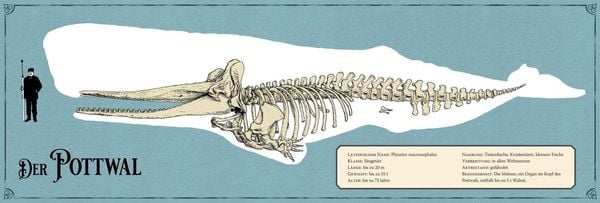 Produktbild: Gr. Schmuckausgabe: H. Melville, Moby Dick