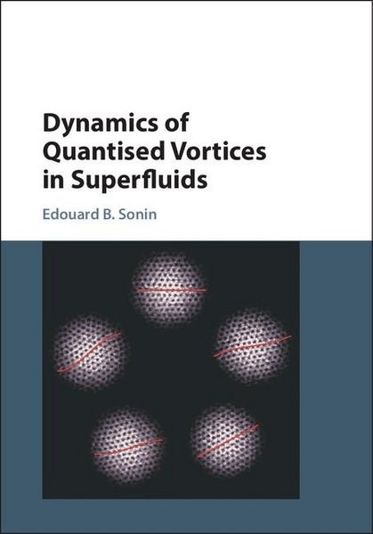 Produktbild: Dynamics of Quantised Vortices in Superfluids