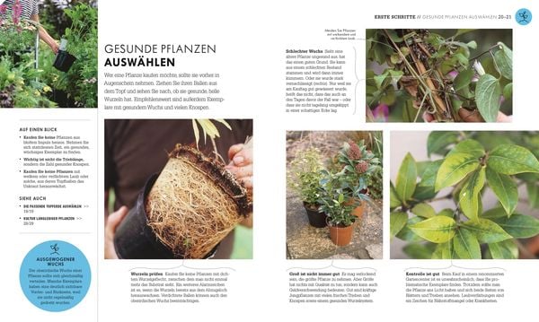 Produktbild: So geht Garten