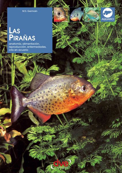 Produktbild: Las pira&ntilde;as: Anatom&iacute;a, alimentaci&oacute;n, reproducci&oacute;n, enfermedades, cr&iacute;a en acuario