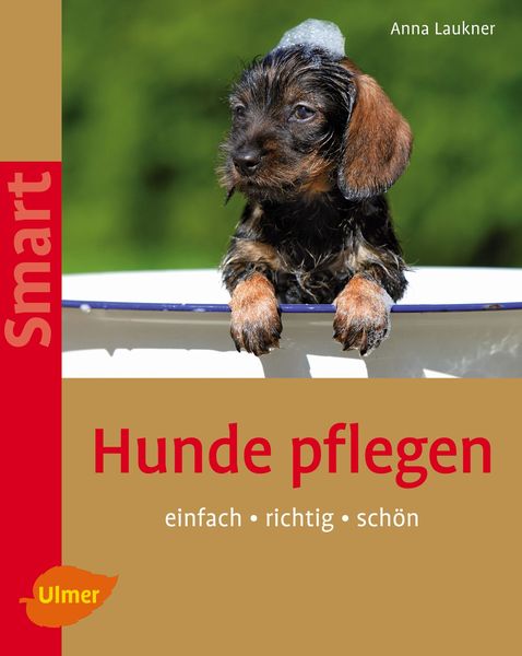 Hunde pflegen, Taschenbuch von Anna Laukner, Verlag Eugen Ulmer, 978-3-8001-5795-2