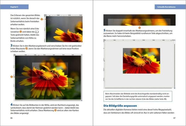 Produktbild: GIMP 3 - Einstieg und Praxis