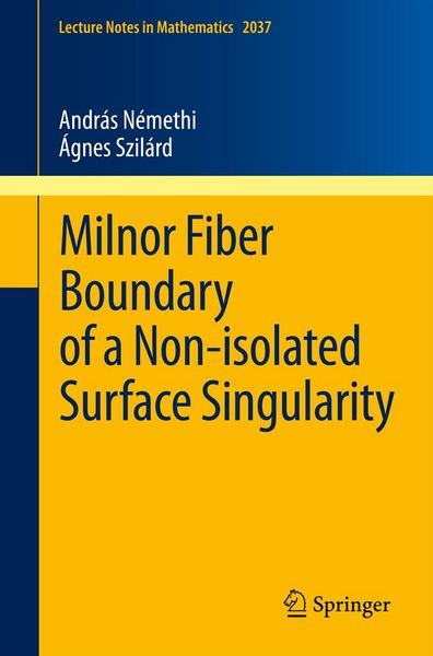 Produktbild: Milnor Fiber Boundary of a Non-isolated Surface Singularity