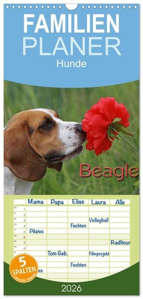 Produktbild: Familienplaner 2026 - Beagle mit 5 Spalten (Wandkalender, 21 x 45 cm) CALVENDO
