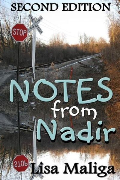 Produktbild: Notes from Nadir
