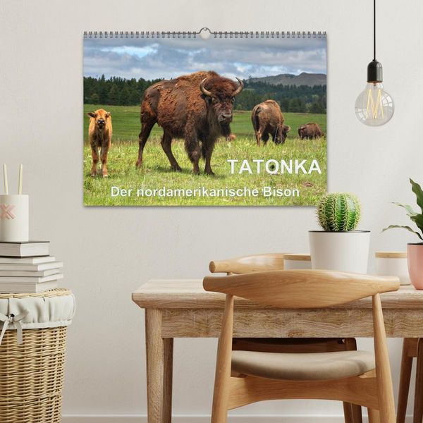 Produktbild: TATONKA Der nordamerikanische Bison (Wandkalender 2026 DIN A3 quer), CALVENDO Monatskalender