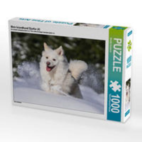 CALVENDO Puzzle Mein Islandhund Djarfur (4) | 1000 Teile Lege-Größe 64x48cm Foto-Puzzle für glückliche Stunden