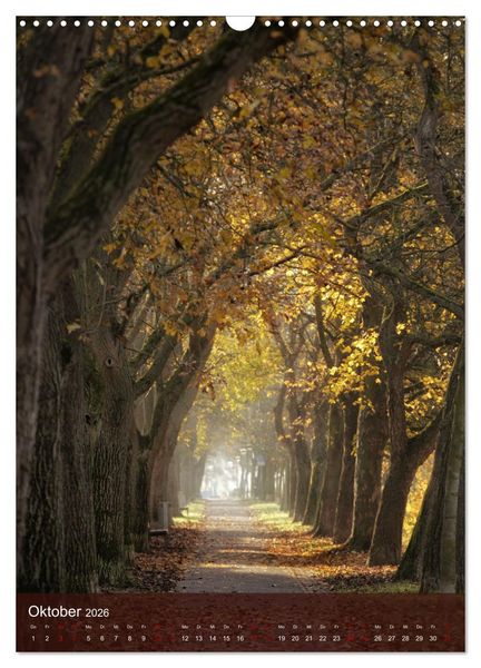 Produktbild: Klimaretter Baum (Wandkalender 2026 DIN A3 hoch), CALVENDO Monatskalender