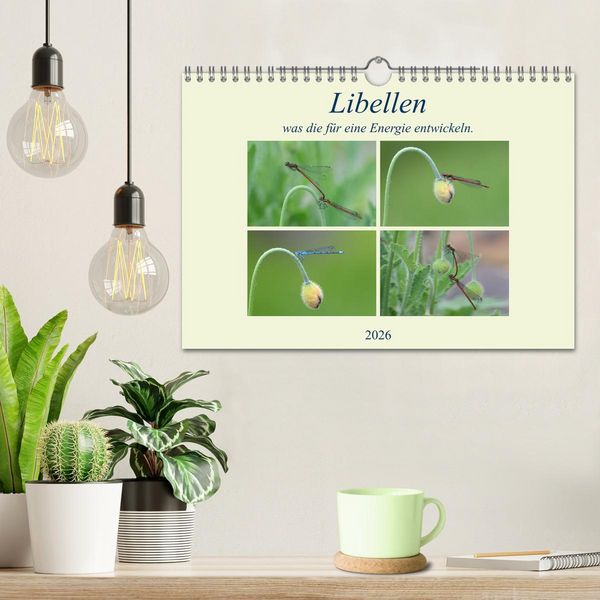 Produktbild: Libellen, was die f&uuml;r eine Energie entwickeln. (Wandkalender 2026 DIN A4 quer), CALVENDO Monatskalender