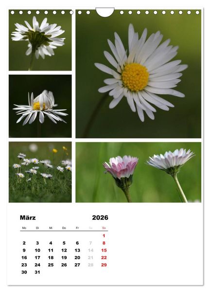 Produktbild: Bl&uuml;ten Collagen (Wandkalender 2026 DIN A4 hoch), CALVENDO Monatskalender