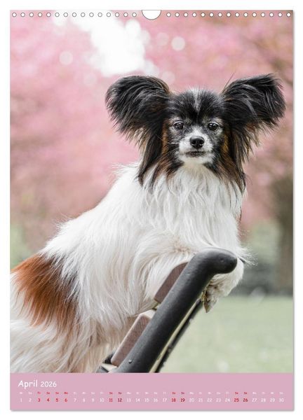 Produktbild: Flora Canidae - der Hunde-Bl&uuml;hpflanzen-Kalender (Wandkalender 2026 DIN A3 hoch), CALVENDO Monatskalender