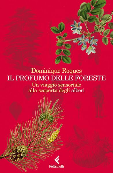 Produktbild: Il profumo delle foreste. Un viaggio sensoriale alla scoperta degli alberi