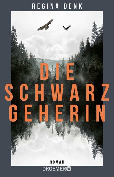 Die Schwarzgeherin, Taschenbuch von Regina Denk, Droemer Taschenbuch, 978-3-426-44725-3