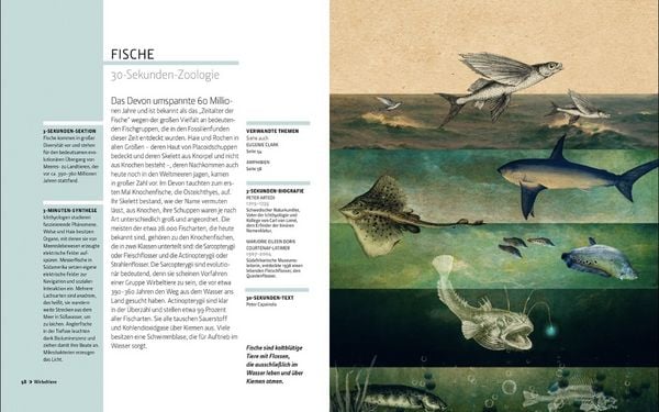 Produktbild: Zoologie in 30 Sekunden