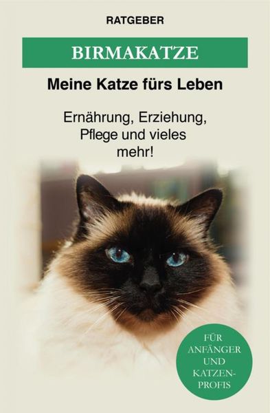 Produktbild: Birma Katze