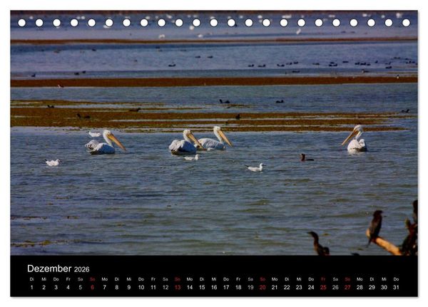 Produktbild: Donaudelta (Tischkalender 2026 DIN A5 quer), CALVENDO Monatskalender
