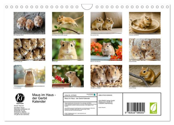 Produktbild: Maus im Haus - der Gerbil Kalender (Wandkalender 2026 DIN A4 quer), CALVENDO Monatskalender