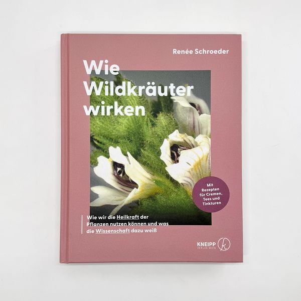 Produktbild: Wie Wildkr&auml;uter wirken