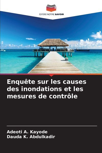 Produktbild: Enqu&ecirc;te sur les causes des inondations et les mesures de contr&ocirc;le