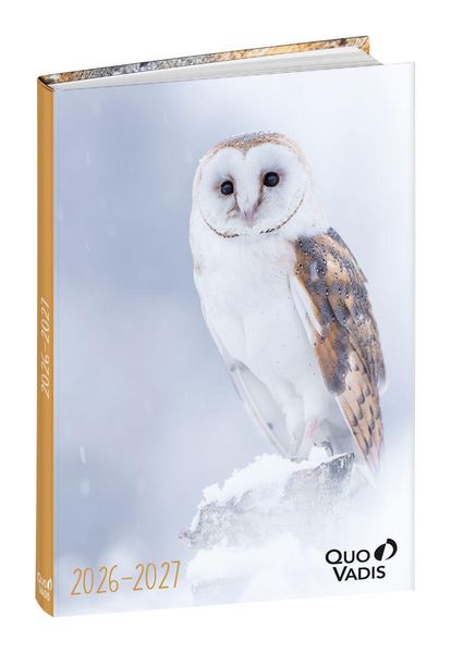 Produktbild: Sch&uuml;lerkalender Forum Tiere Eule 2026 / 2027