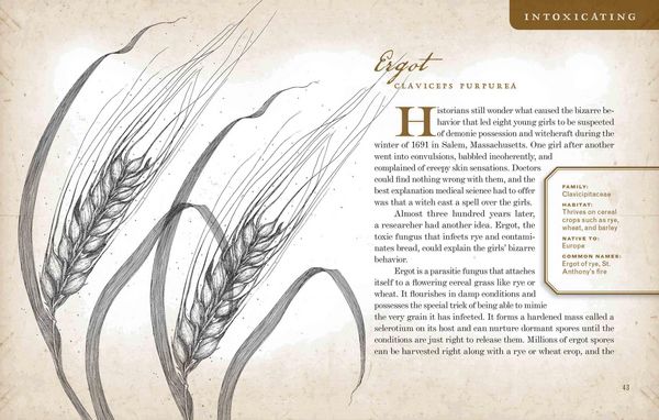 Produktbild: Wicked Plants