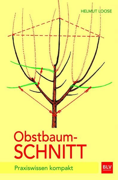 Produktbild: Obstbaumschnitt