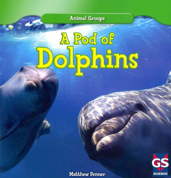 Produktbild: Pod Of Dolphins