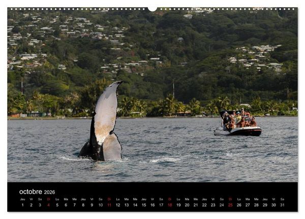 Produktbild: Polyn&eacute;sie fran&ccedil;aise - Magie des &icirc;les (Calendrier mural 2026 DIN A2 vertical) calendrier de bureau
