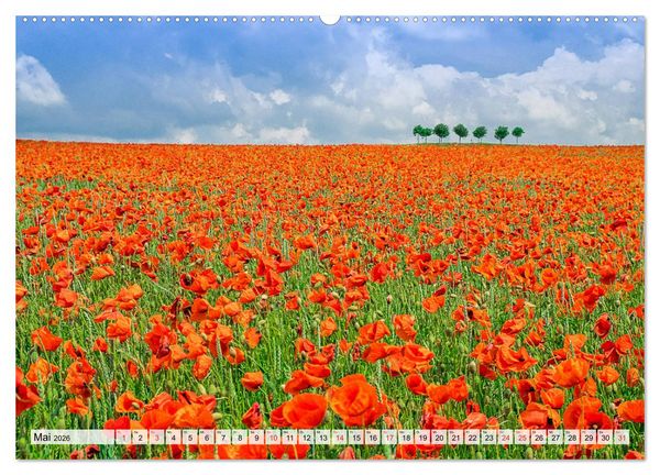 Produktbild: Norddeutsche Landschaften (hochwertiger Premium Wandkalender 2026 DIN A2 quer), Kunstdruck in Hochglanz