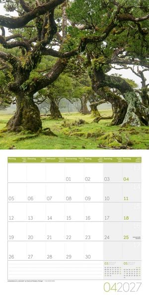 Produktbild: Zauber des Waldes Kalender 2027 - 30x30 - Art12