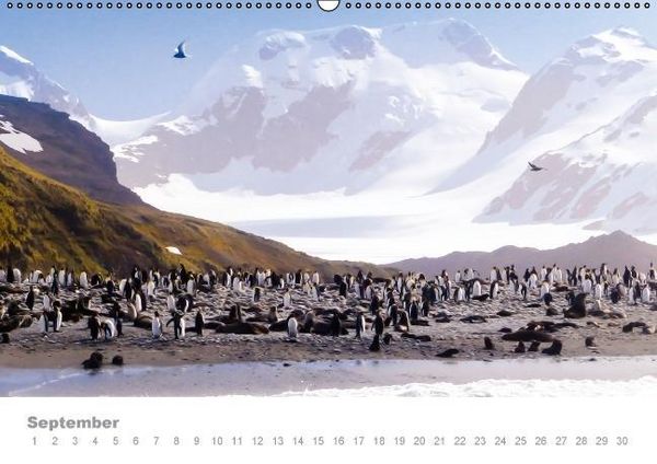 Produktbild: ANTARKTIS (Wandkalender immerw&auml;hrend DIN A2 quer)