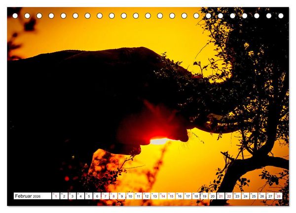 Produktbild: Elefanten-Traum - Herzenssache Afrika (Tischkalender 2026 DIN A5 quer), CALVENDO Monatskalender