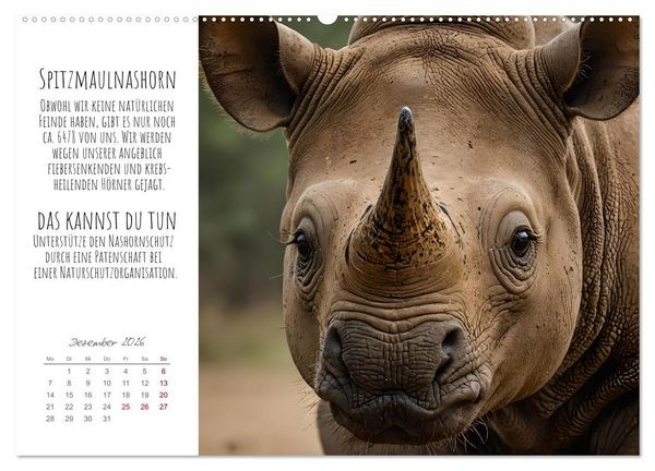 Produktbild: Wir sind die Letzten hier! Wir sterben aus. Wie du uns helfen kannst! (Wandkalender 2026 DIN A2 quer), CALVENDO Monatskalender