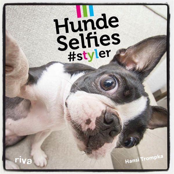 Produktbild: Hunde-Selfies