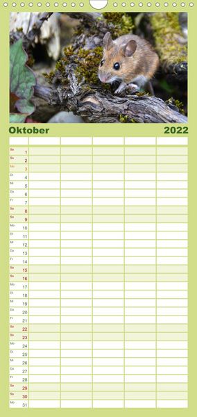 Produktbild: Familienplaner ... hier kommt die Maus ... (Wandkalender 2022 , 21 cm x 45 cm, hoch)